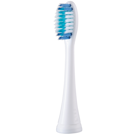 Panasonic | Sonic Electric Toothbrush | EW-DC12-W503 | Rechargeable | For adults | Number of brush heads included 1 | Number of teeth brushing modes 3 | Sonic technology | Golden White - Image 6