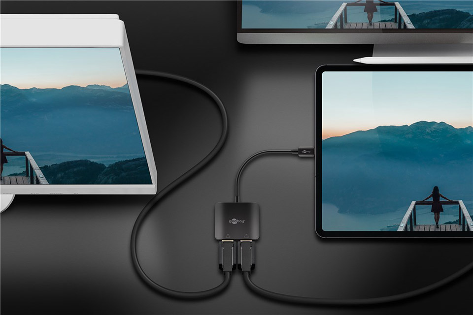 Goobay USB-C Adapter to 2x DisplayPort | 60171 - Image 3