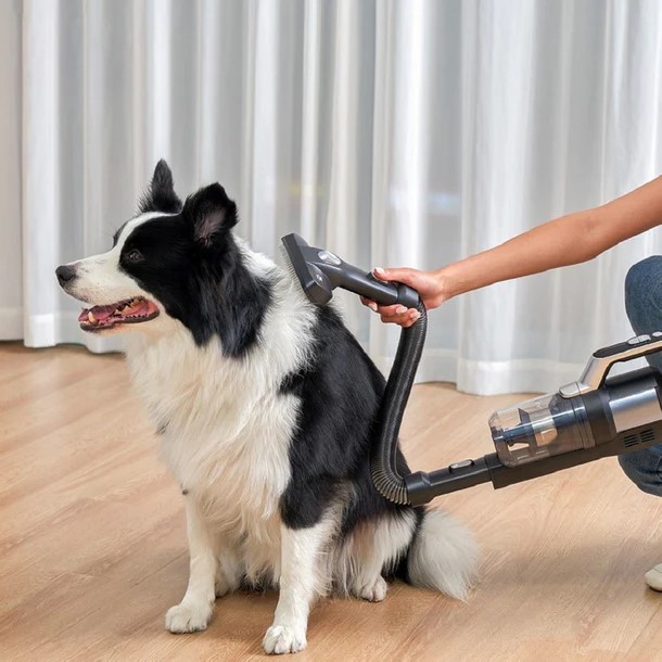 Jimmy | Pet Brush/Flexible Hose for PW11 and HW11 series - Image 4