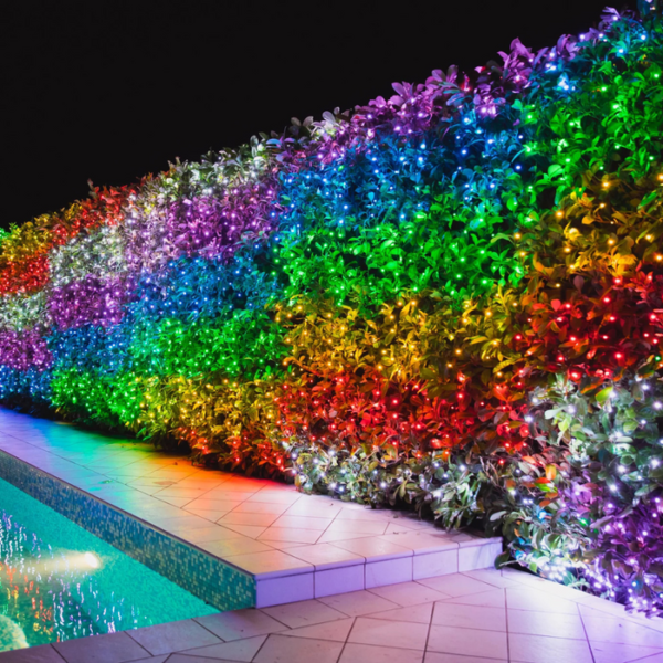 Twinkly|Strings Smart LED Lights 100 RGB (Multicolor), 8m, Black wire|RGB – 16M+ colors - Image 2