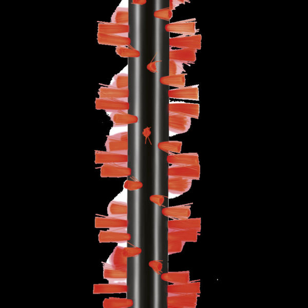 Bissell | Area Rug Brush Roll | CrossWave | 1 pc(s)