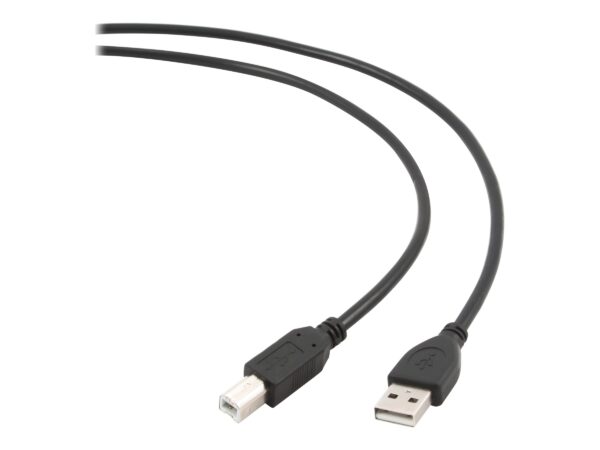Cablexpert | Cable | USB2 AM-BM | Lightning to USB USB A | USB B - Image 3