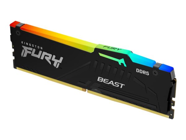 Kingston | FURY Beast RGB EXPO | 16 GB | DDR5 | 5600 MHz | PC/server | Registered No | ECC No - Image 2