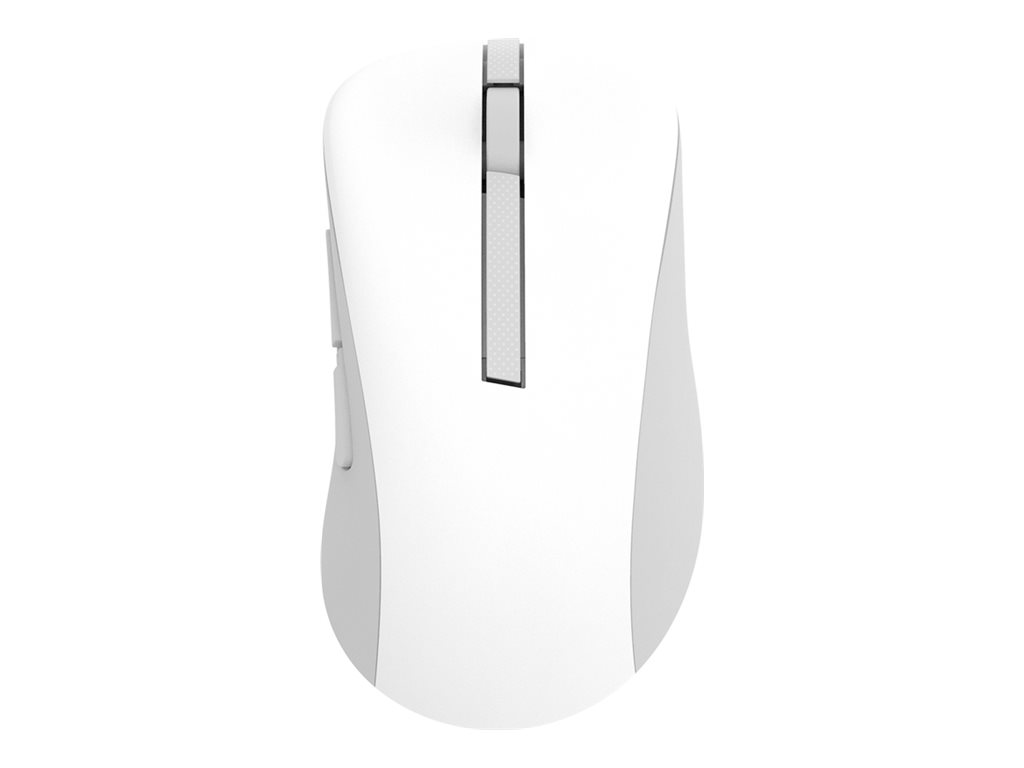 Asus Wireless Mouse | MD102 | Mouse | 2.4 GHz, Bluetooth | White