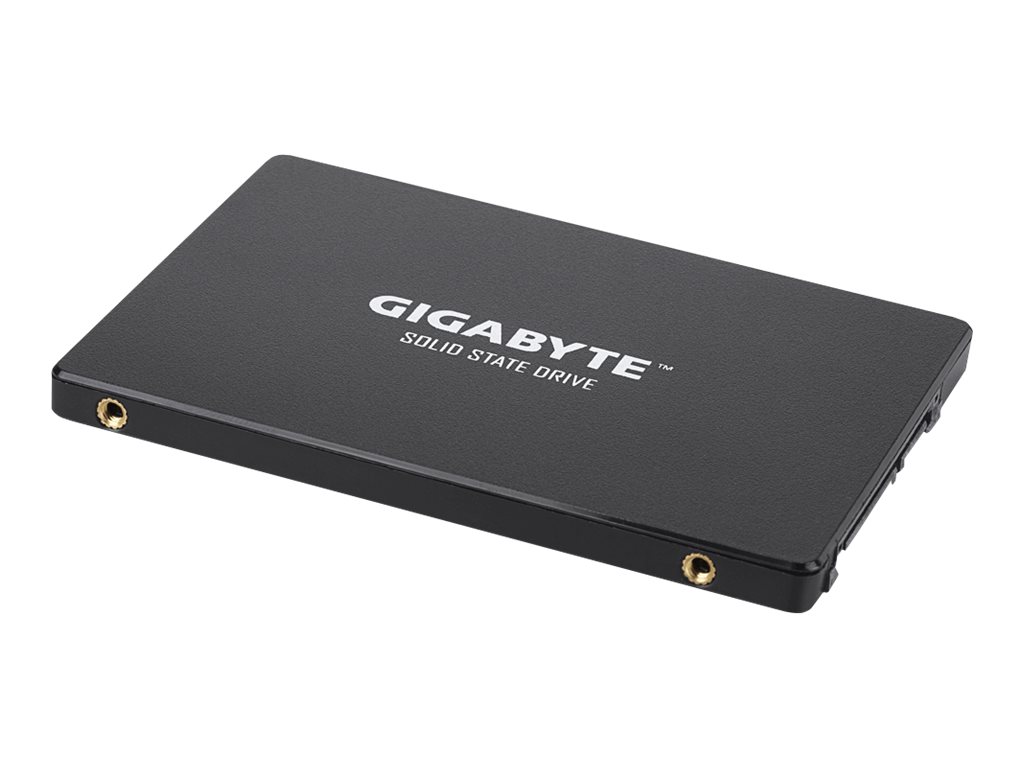 Gigabyte | GP-GSTFS31256GTND | 256 GB | Solid-state drive interface SATA | Read speed 520 MB/s | Write speed 500 MB/s - Image 5