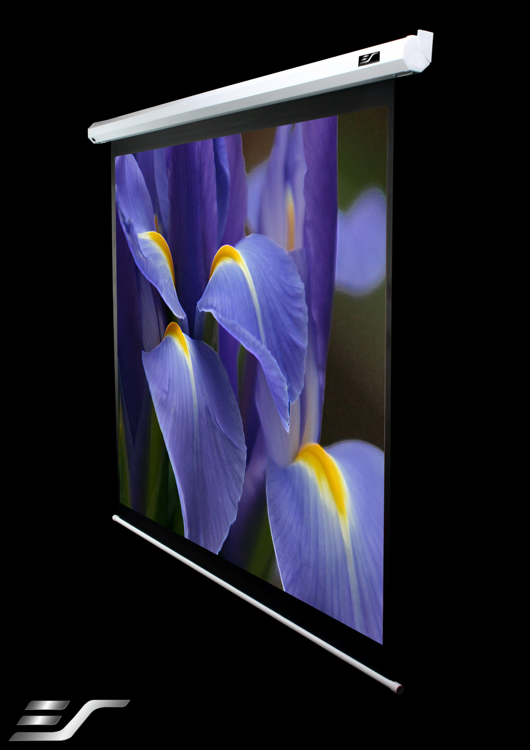 Elite Screens | VMAX2 Series | VMAX100XWH2-E24 | Diagonal 100 " | 16:9 | Viewable screen width (W) 222 cm | White - Image 3