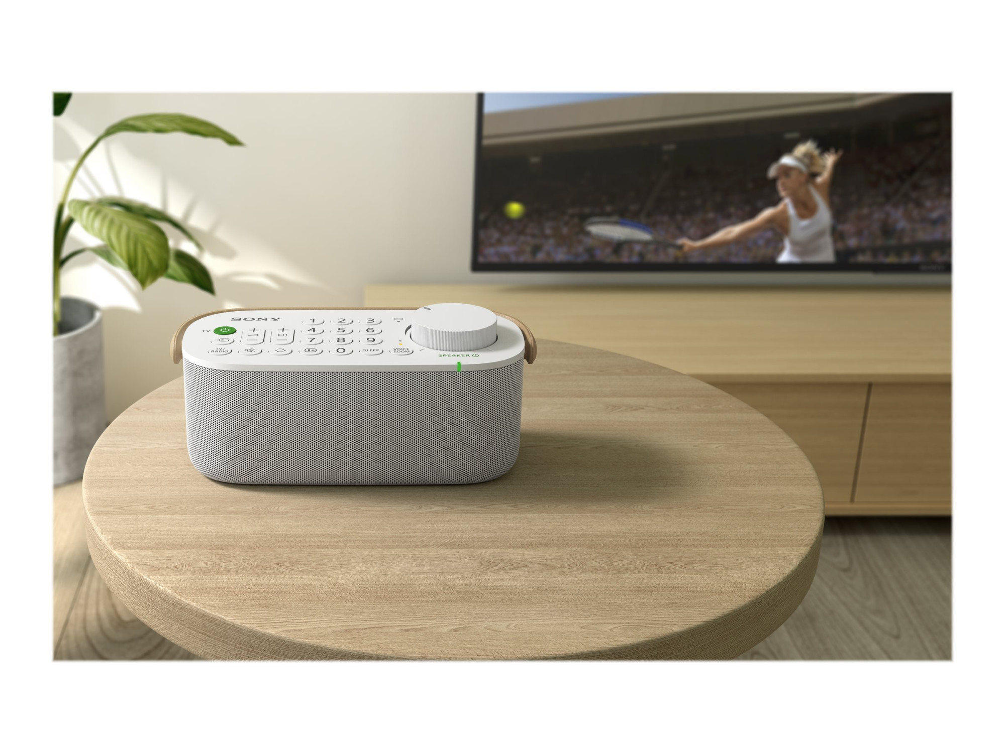 Sony | TV Speaker | SRS-LSR200 | Waterproof | White | Wireless connection - Image 12