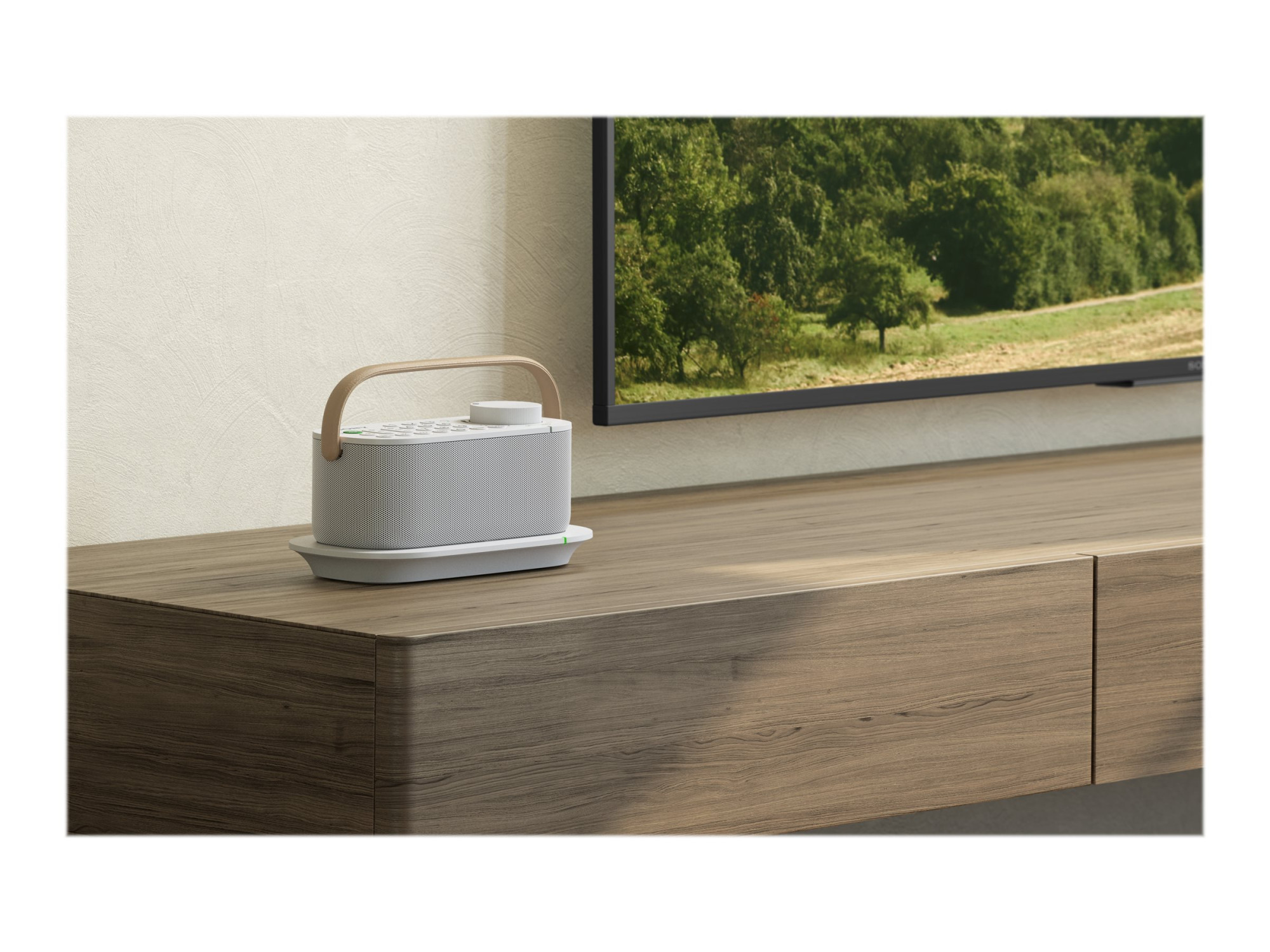 Sony | TV Speaker | SRS-LSR200 | Waterproof | White | Wireless connection - Image 13