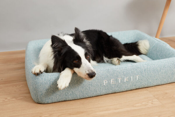 PETKIT | Deep Sleep All Season Pet Bed M | Green - Image 2