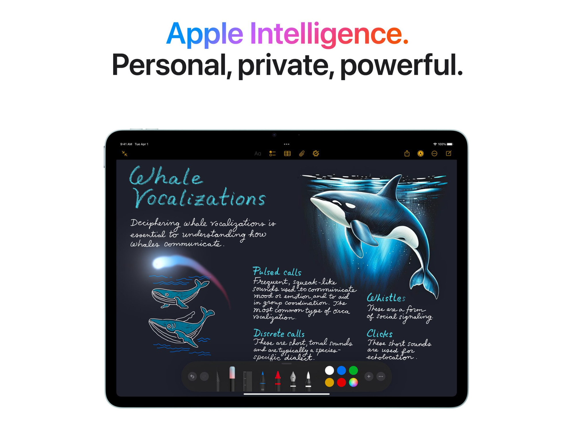 Apple 13 " | Space Grey | Liquid Retina | 2732 x 2048 pixels | Apple M3 | 128 GB | Wi-Fi | Front camera | 12 MP | Rear camera | 12 MP | Bluetooth | 5.3 | iOS | iPad Air - Image 8