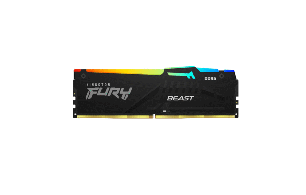 Kingston KF556C36BBE2A-32 | 32 GB | DDR5 | 5600 MHz | PC/server | Registered No | ECC No