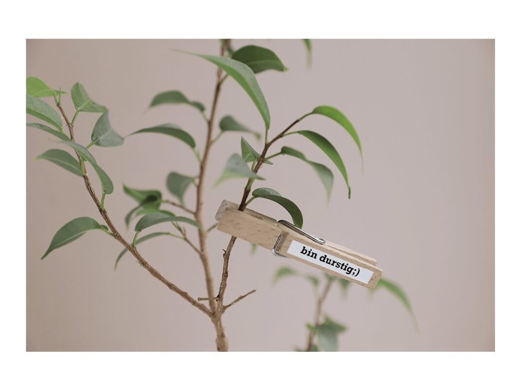 Brother | TZe-S211 Strong Adhesive Laminated Tape | Black on White | TZe | 8 m | 6 cm - Image 15