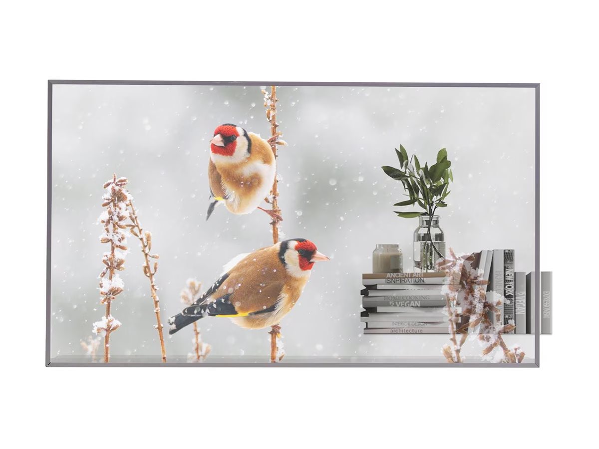 LG OLED Signage | 55EW5P-M | 55 " | Landscape/Portrait | 18/7 | webOS | 600 cd/m² | 8 ms | 178 ° | 178 ° - Image 2