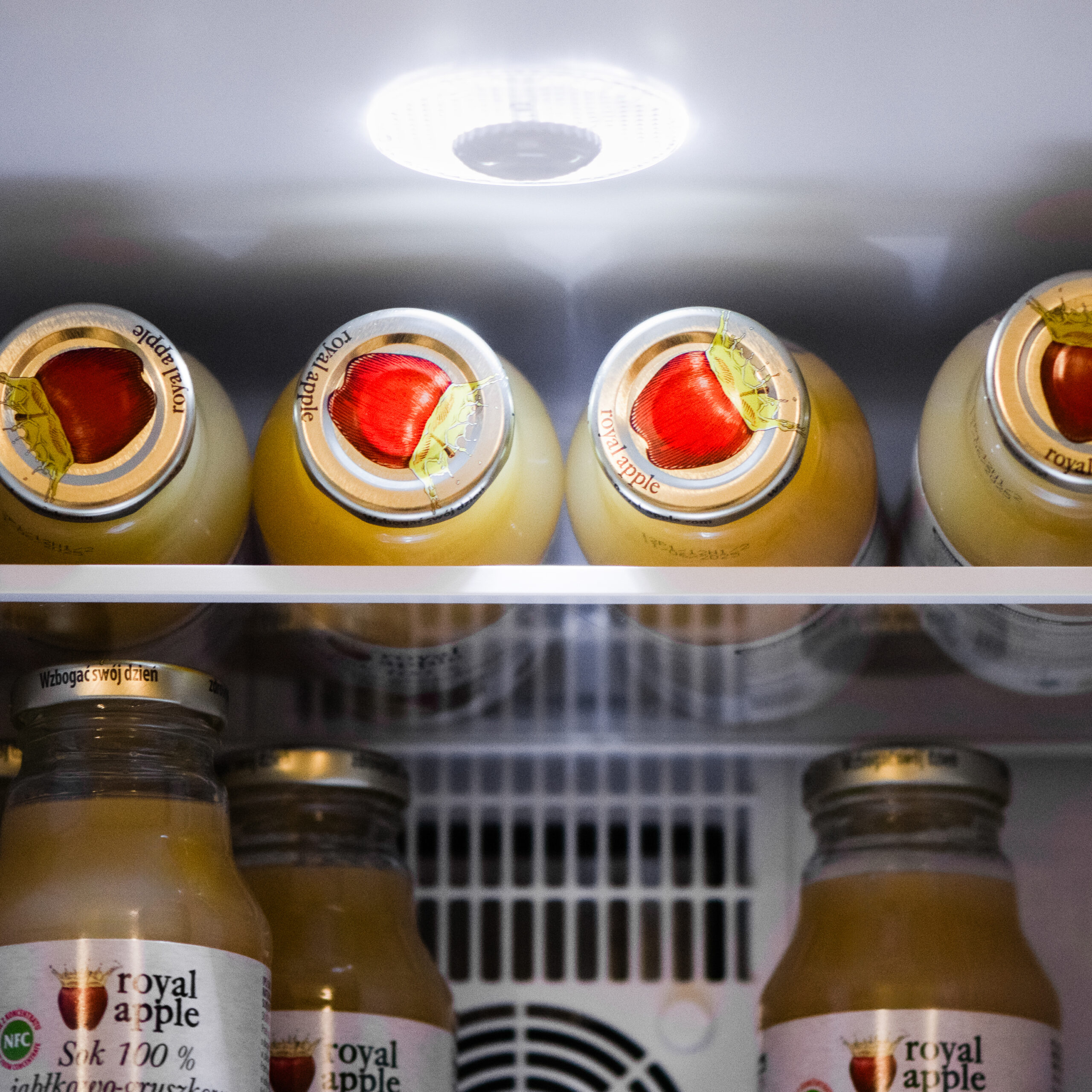 Adler | Thermoelecric Cooler | AD 8088 | Energy efficiency class E | Free standing | Larder | Black - Image 8