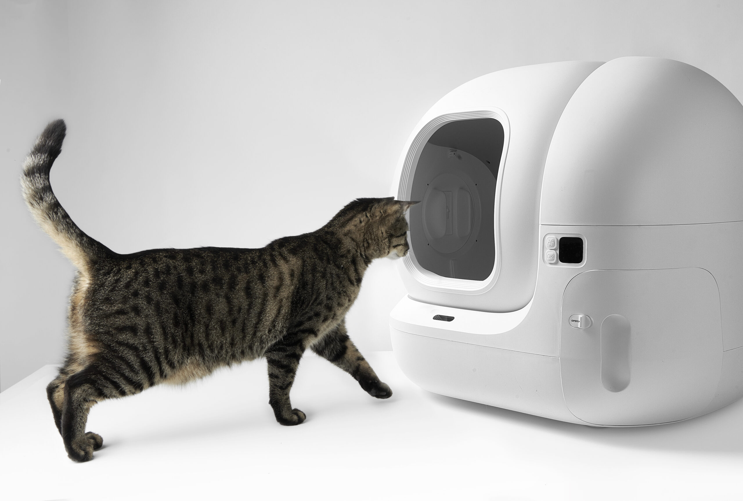 PETKIT | Automatic Cat Litter Box | Pura MAX 2 | 480 x 480 x 520 cm | White - Image 15
