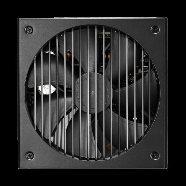 Fractal Design | Ion+ 660W Platinum | 660 W