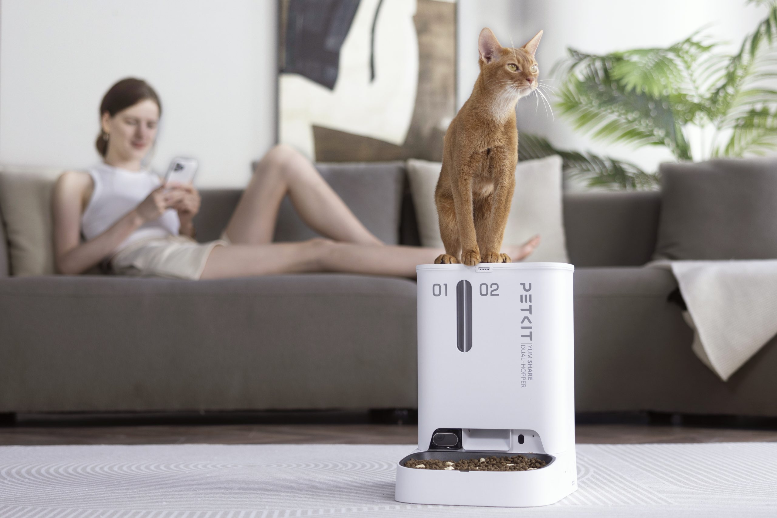 PETKIT | Feeder with Camera | P591 YumShare Dual-hopper | Capacity 2+3 L | White - Image 6