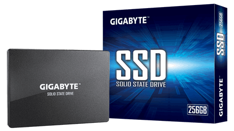 Gigabyte | GP-GSTFS31256GTND | 256 GB | Solid-state drive interface SATA | Read speed 520 MB/s | Write speed 500 MB/s