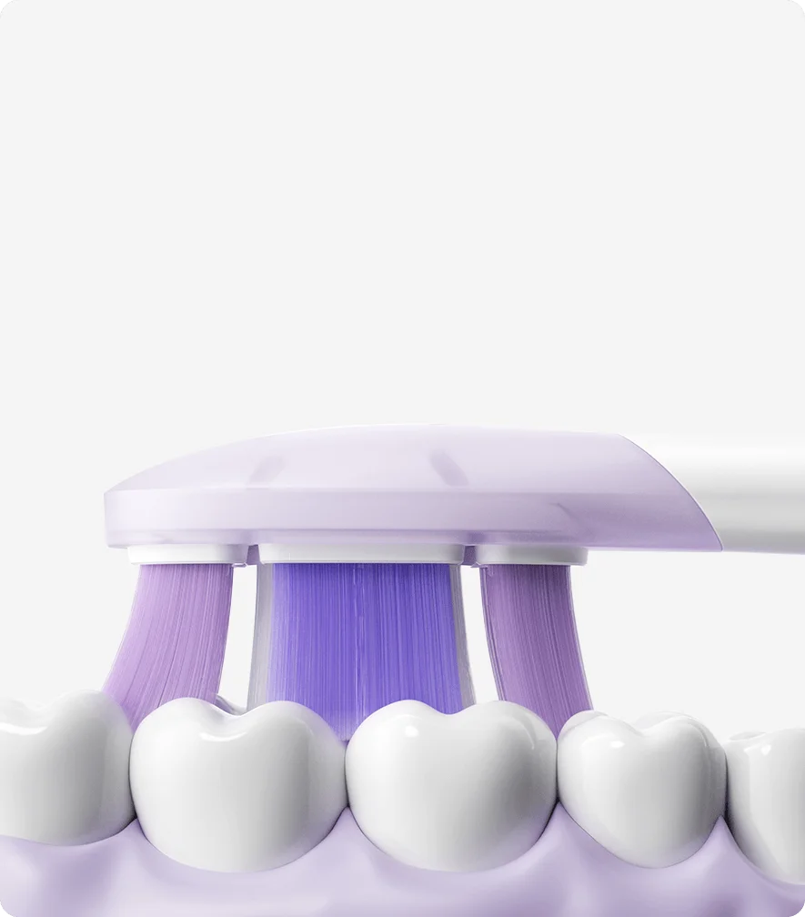 Xiaomi | Oscillation Electric Toothbrush Replacement Heads (Soft), 3 pcs - Image 4