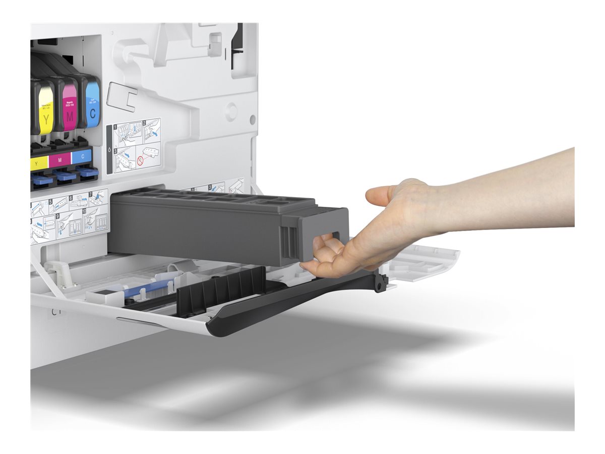 Epson Maintenance Box for AM-C400/550 - Image 2