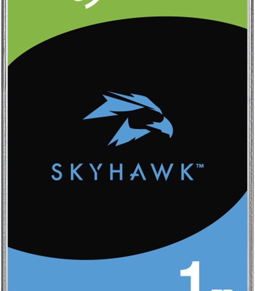 Seagate ST1000VX013 SkyHawk | 1000 GB | 256 MB