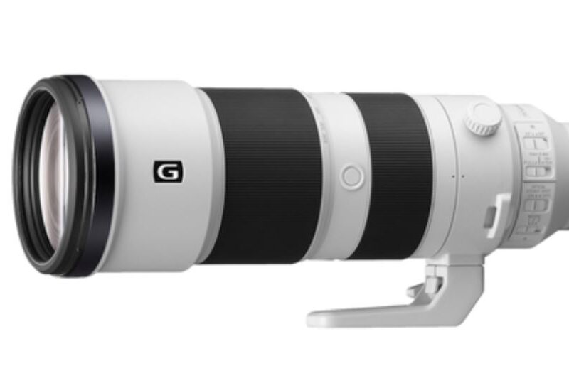 Sony | FE 200-600mm F5.6-6.3 | Sony E-mount