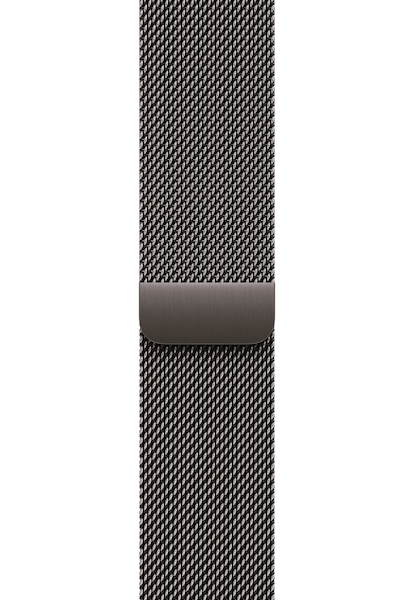 Apple | 42mm Slate Milanese Loop
