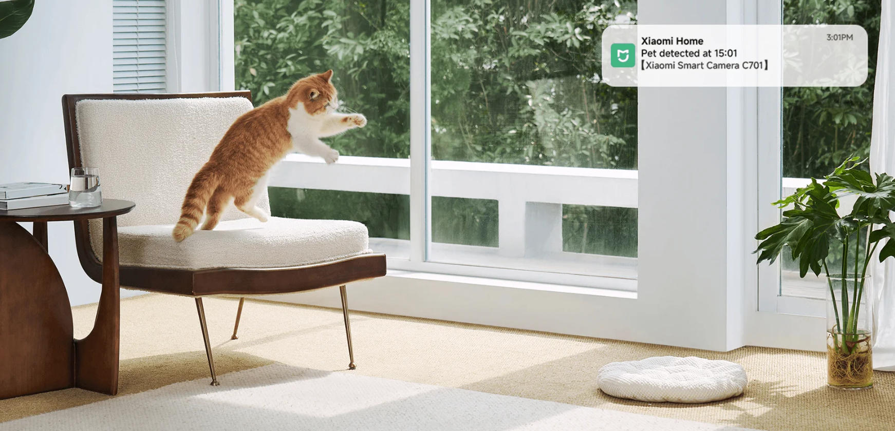 Xiaomi Smart Camera C701 EU | Dome | 8 MP | F/1.6 | H.265 | microSD card (8 GB to 256 GB) - Image 5