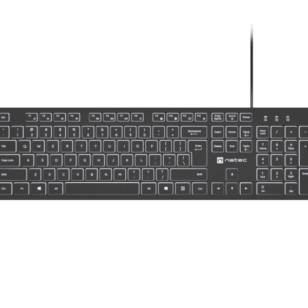 Natec Herring Glow | Keyboard | Wired | US | Black | USB Type-A