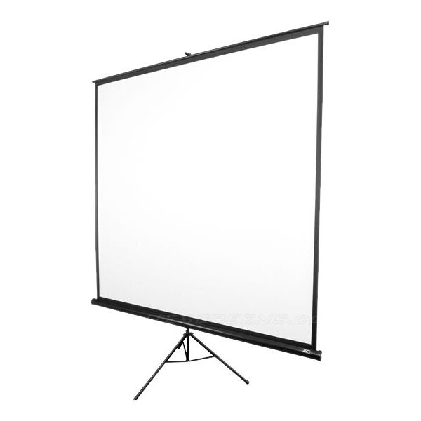 Elite Screens | Tripod Series | T99NWS1 | Diagonal 99 " | 1:1 | Viewable screen width (W) 178 cm | White
