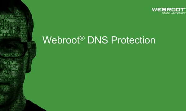 Webroot | DNS Protection with GSM Console | 1 year(s) | License quantity 10-99 user(s)