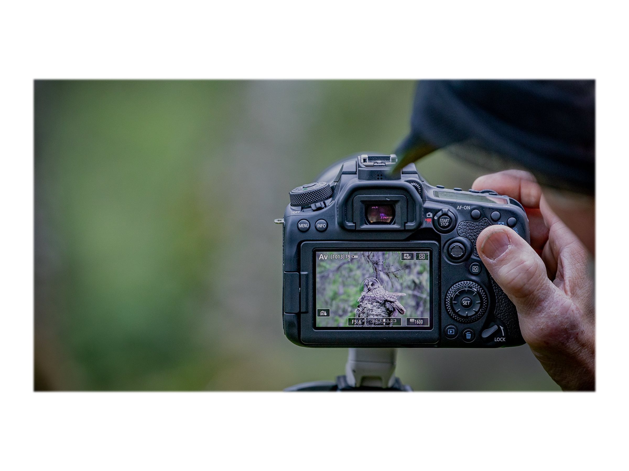 Canon | EOS | 90D | SLR Camera Body | Megapixel 32.5 MP | ISO sensitivity (max) 25600 | Display diagonal 3 " | Wi-Fi | Video recording | APS-C | Black - Image 5