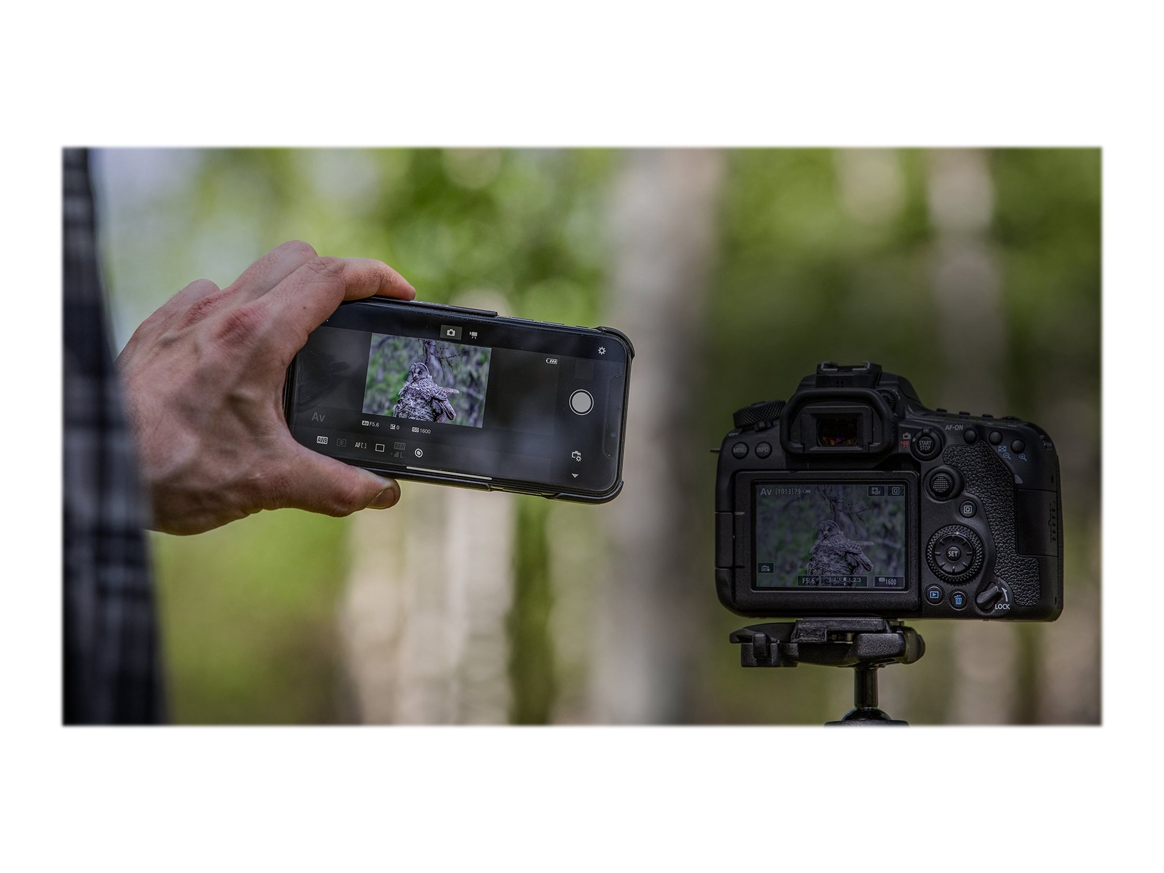 Canon | EOS | 90D | SLR Camera Body | Megapixel 32.5 MP | ISO sensitivity (max) 25600 | Display diagonal 3 " | Wi-Fi | Video recording | APS-C | Black - Image 6