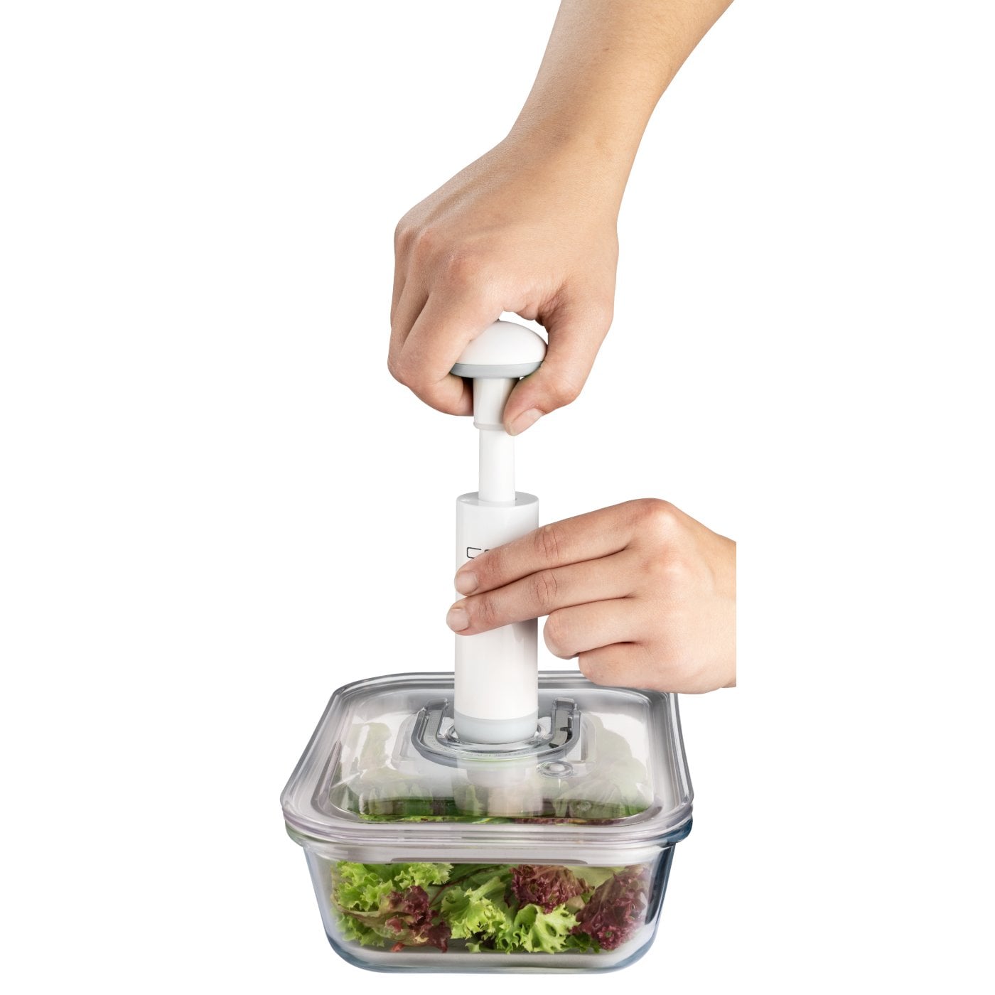 Caso | Vacuum pump and adapter | 01178 | White - Image 3