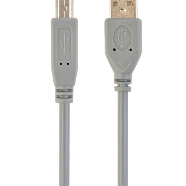 Cablexpert | CCP-USB2-AMBM-6G | USB 2.0 A-plug B-plug 6ft cable