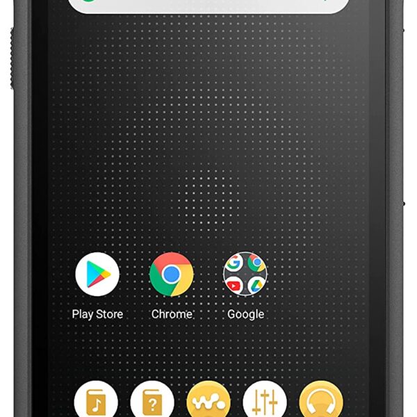 Sony | Walkman Digital Media Player | NW-WM1AM2 | Bluetooth | Internal memory 103 GB | USB connectivity | Wi-Fi