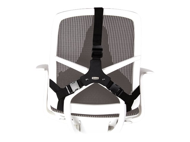 Fellowes | Professional back support - Professional Series | Depth 55 mm | Height 365 mm | High-density foam | Width 375 mm - Image 2