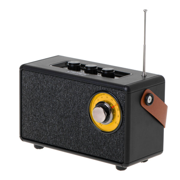 Camry | Speaker with radio | CR 1902 B | Black | Wireless connection