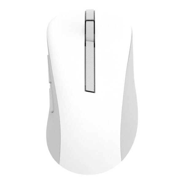 Asus Wireless Mouse | MD102 | Mouse | 2.4 GHz, Bluetooth | White