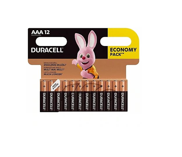 Duracell | Basic MN2400 BL12 | AAA