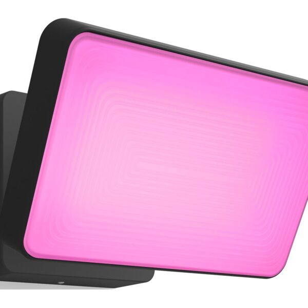 Philips Hue WCA Discover Outdoor Floodlight | 2000-6500 Hue White Colour Ambiance