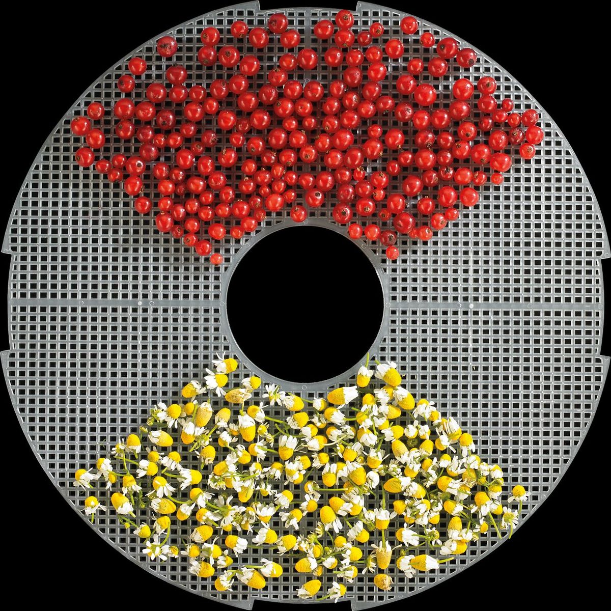 Gorenje | Food Dryer | FDK24DW | Power 380 W | Number of trays 5 | Temperature control | Integrated timer | White - Image 7