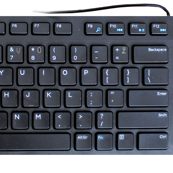 Dell | KB216 | Multimedia | Wired | US | Black | Lithuanian | Numeric keypad