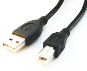 Cablexpert | CCP-USB2-AMBM-6 | USB-A to USB-B USB A | USB B