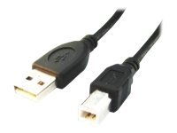 Cablexpert | CCP-USB2-AMBM-6 | USB-A to USB-B USB A | USB B - Image 2