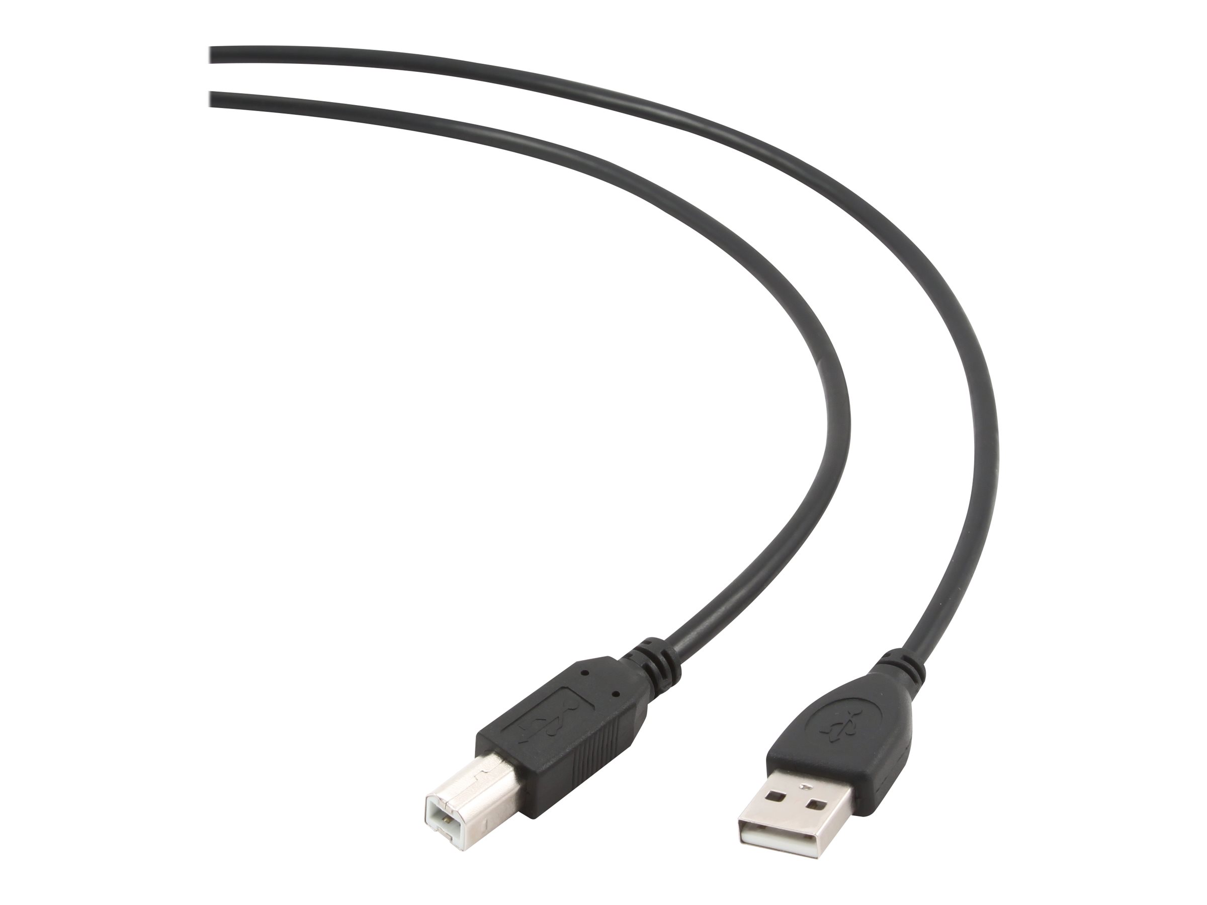Cablexpert | CCP-USB2-AMBM-6 | USB-A to USB-B USB A | USB B - Image 3