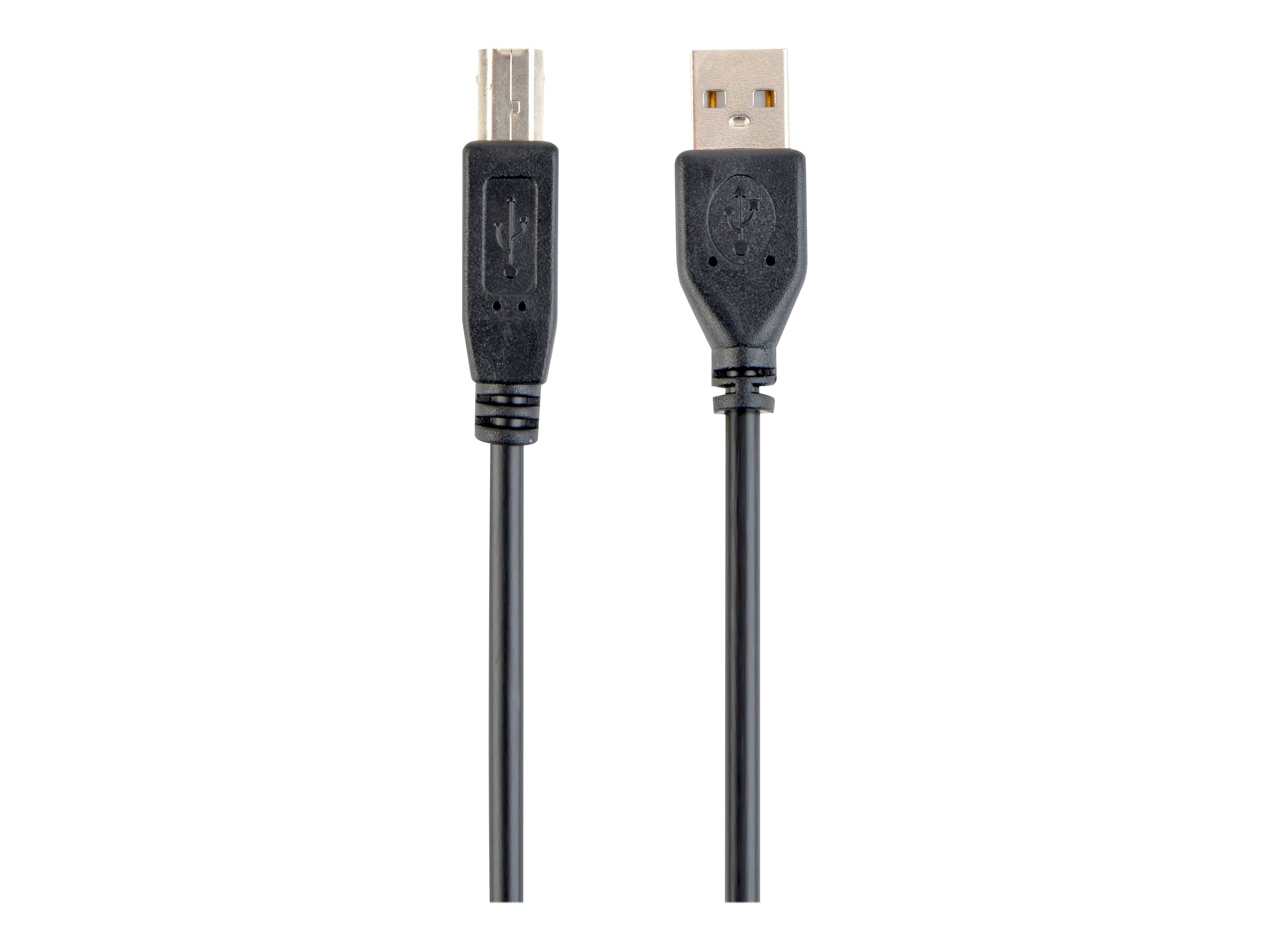 Cablexpert | CCP-USB2-AMBM-6 | USB-A to USB-B USB A | USB B - Image 5