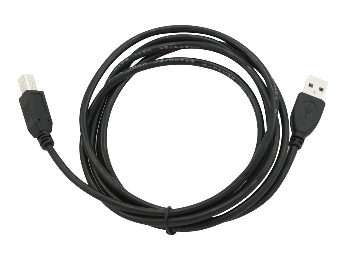 Cablexpert | CCP-USB2-AMBM-6 | USB-A to USB-B USB A | USB B - Image 6