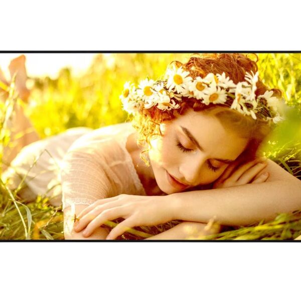 LG 4K UHD Signage | 55UL5Q-E | 55 " | 500 cd/m² | Landscape/Portrait | 24/7 | webOS | Wi-Fi | 178 ° | 178 °