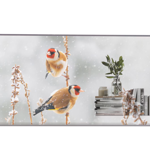 LG | Digital Signage | 55EW5P | 55 " | Landscape/Portrait | 18/7 | webOS | Transparent | 600 cd/m² | 8 ms | 178 ° | 178 °